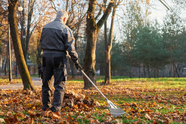 istock Municipal male worker gathering fallen leaves with rake. 1935008314