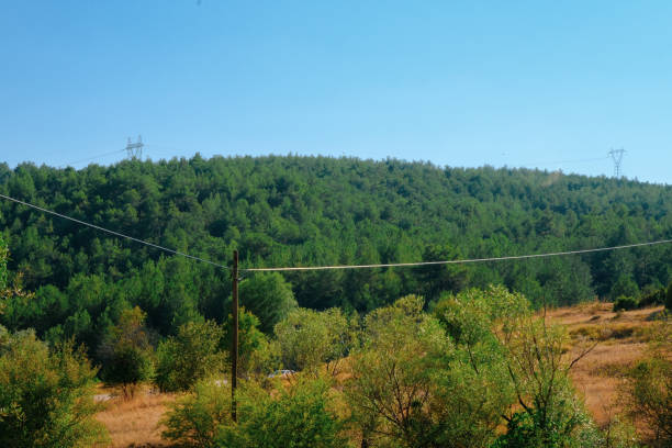 Landscape photo, nature, forest, Usak, Turkey