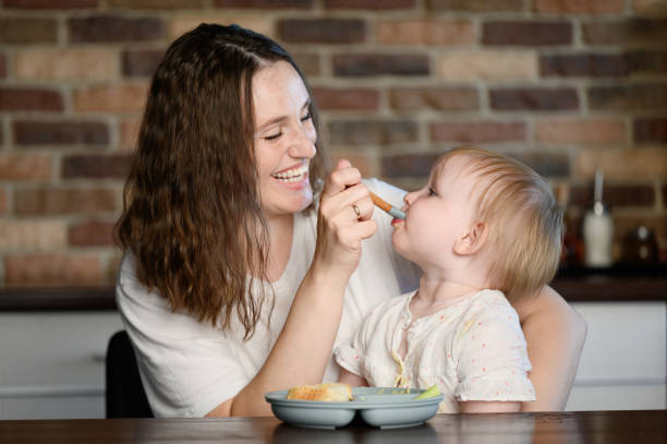 아이는 퓌레를 섞어 먹고, 엄마는 숟가락으로 아기에게 건강한 음식을 먹입니다. 건강한 식생활, 보완 수유, 이유식 - eating cereal student human mouth 뉴스 사진 이미지