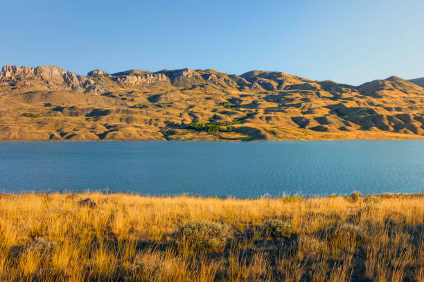 shoshone river flanked by foothills and grasses under blue sky. cody, usa. - shoshone river zdjęcia i obrazy z banku zdjęć