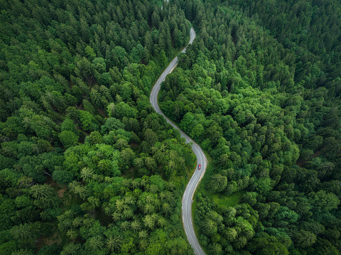 Car driving on Idyllic winding road through the green forest.