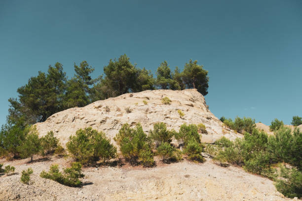 Landscape photo, nature, forest, Usak, Turkey