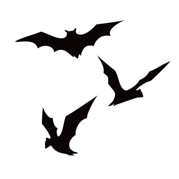 set of bat silhouette set of bat silhouette. night animal sign and symbol. bats stock illustrations