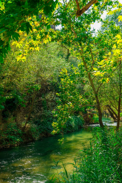istock River and forest views from Cilandiras canyon 1935111409