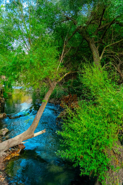 istock River and forest views from Cilandiras canyon 1935113016