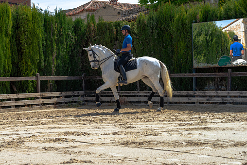 Young jockey in a dressage and riding training session photo