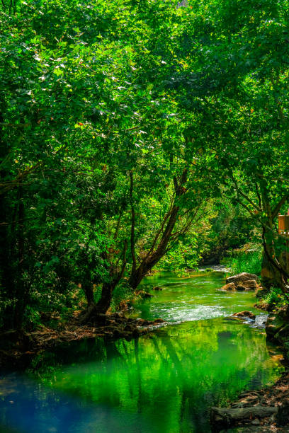 istock River and forest views from Cilandiras canyon 1935117478