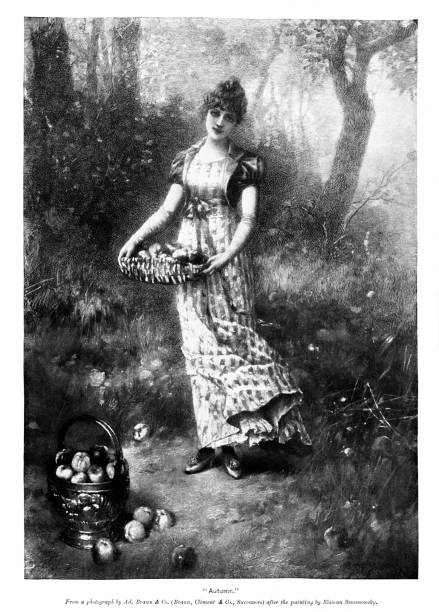 illustrations, cliparts, dessins animés et icônes de jeune femme cueille des pommes dans un verger - holding art orchard beauty