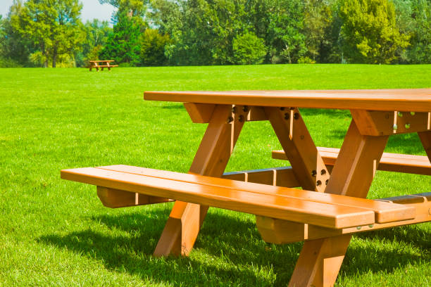 Picnic table on a green meadow in a public park with trees on background