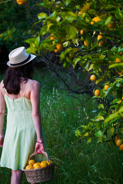 istock Girl farming fruits 1935136401