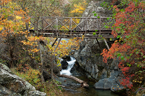 Landscape with wooden bridge and autumn colorful foliage on Mount Paiko in northern Greece