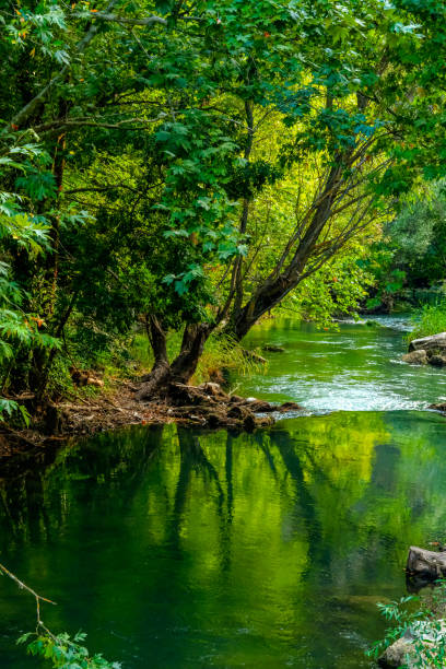 istock River and forest views from Cilandiras canyon 1935145927