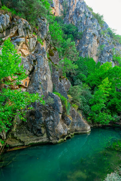 istock River and forest views from Cilandiras canyon 1935157892