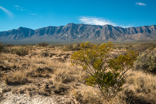 New Mexico desert landscape, high mountains in the background of the desert and drought-tolerant plants, New Mexico