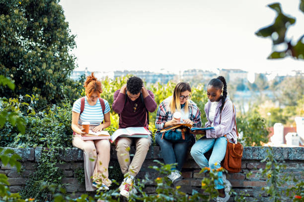 istock Diverse group of students sitting outdoor talking and learning together. 1935178598