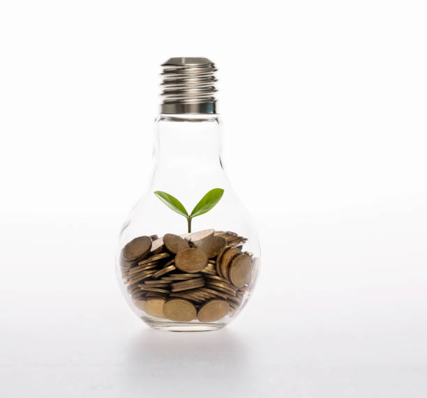 istock Light bulb with small plant on coins 1935195186