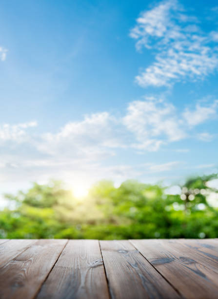 Empty wooden table in nature outdoor