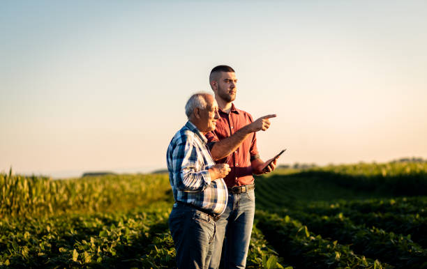 istock Two farmers standing in a field examining soy crop. 1935211989