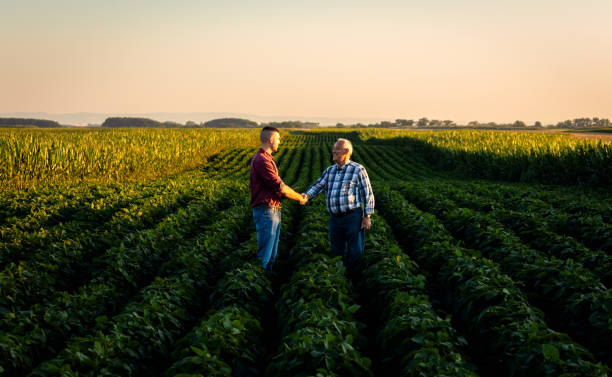 istock Two farmers in soy field making agreement with handshake at sunset. 1935212156