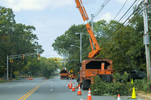 Branches that have been ground into chips by wood chipper machine are shredded wood