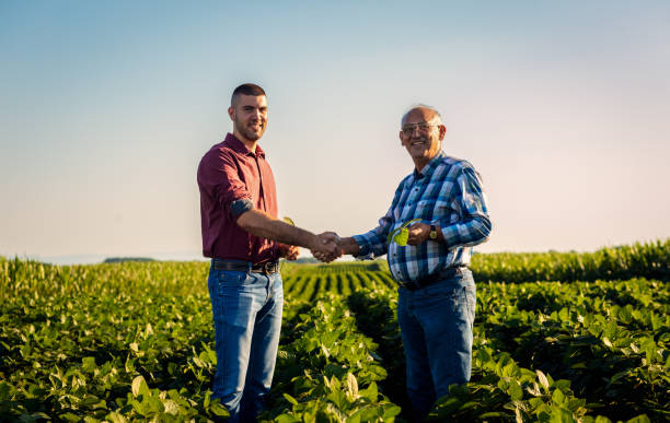 istock Two farmers in soy field making agreement with handshake at sunset. 1935212690