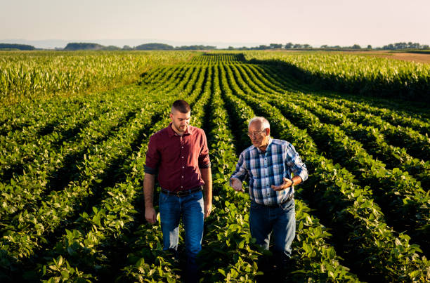 istock Two farmers walking in a field examining soy crop. 1935212711