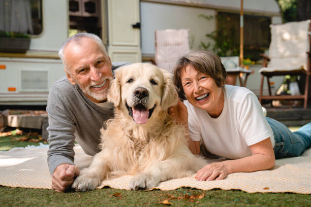 istock Trip voyage adventure with a pet. 1935219107