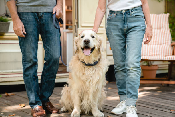 image recadrée de vieux propriétaires d’animaux de compagnie de famille de vieux couple avec leur chien bon garçon - motor home mobile home camping senior adult photos et images de collection