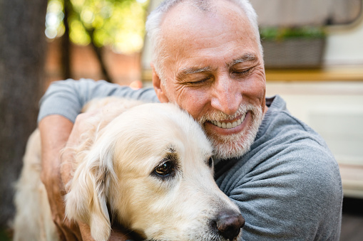 Emotionally supportive animal. Senior old man grandfather playing with his dog golden retriever labrador outdoors, traveling in camper van trailer motor home