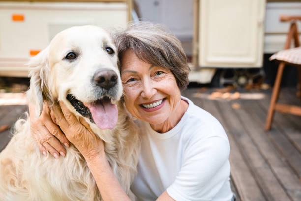 gros plan propriétaire voyageant en caravane avec un animal domestique - motor home mobile home camping senior adult photos et images de collection