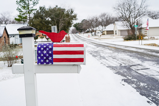 A mailbox painted with a United States flag and a red wooden bird perched on top of it in a Texas residential neighborhood on  January 2024. To the right is an American and Texas flag on a flagpole. Selective focus.