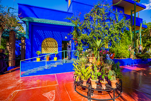 Marrakech,Morocco 19 May 2023:The Jardin Majorelle gardens in Marrakech is one of the most visited sites in Morocco
