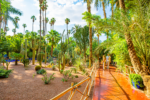 Marrakech,Morocco 19 May 2023:The Jardin Majorelle gardens in Marrakech is one of the most visited sites in Morocco.