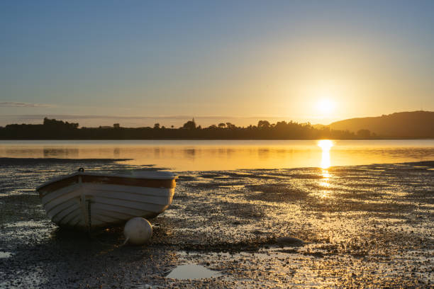 istock Morning sunrise glow across bay 1935278761