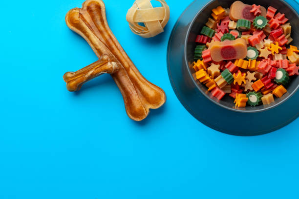 istock Dogs food in bowl and snacks on blue background 1935309835