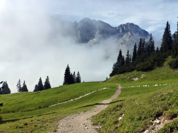 istock In the foreground is a path in perspective on a high mountain plateau covered with grass. 1935314613