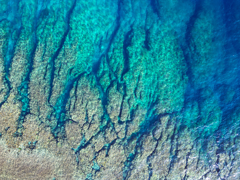 coral reefs from above. natural pattern.