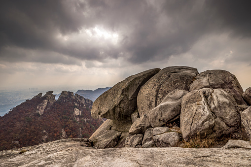 Pine tree on a cliff on the background of Appalachian mountains on sunrise in autumn