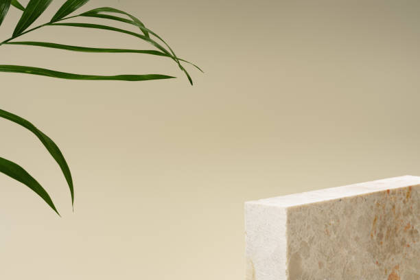 istock Granite stone with branch green leaf on beige background 1935357837