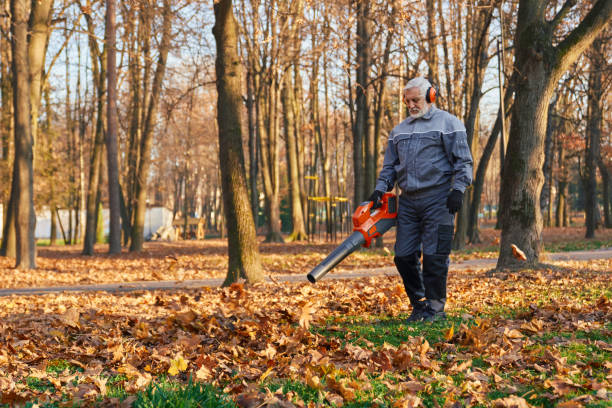 istock Gardener using leaf blower to clear up autumn leaves. 1935361912