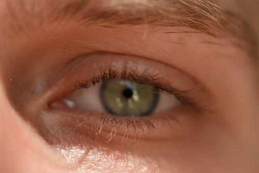 Close up on teenager boy's smiling eyes, green brown color and with one raised eyebrow