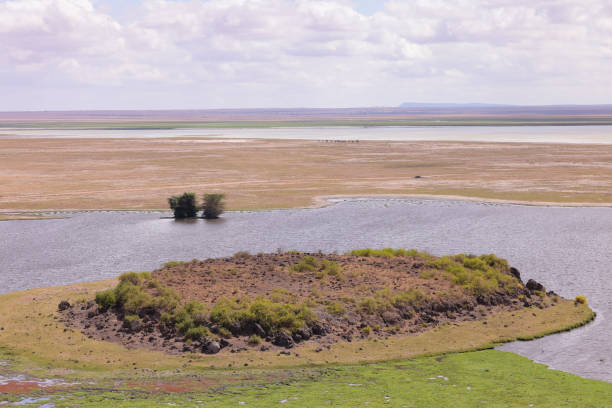 istock Amboseli NP landscape overview 1935378382