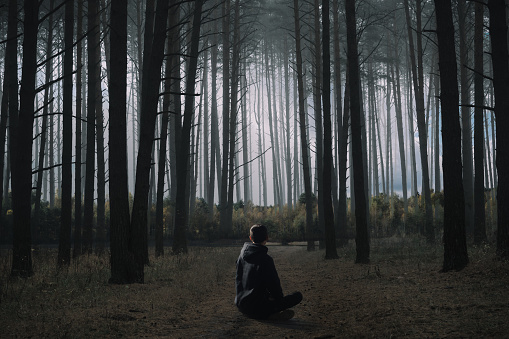 A young man is sitting on a forest path. High pine forest and dense grove, multi-exposure photography