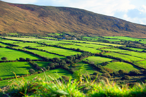 Typical  irish landscape with geometrical green fields at the bottom of a hill