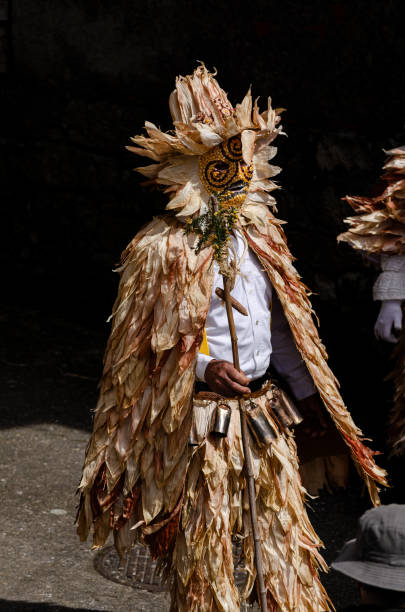 フォラテイロスは、オウレンセのロビオスの伝統的なカーニバルの仮面です。スペイン - carnival costume mask masquerade mask ストックフォトと画像