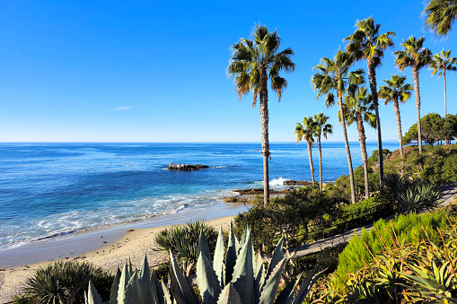 Laguna Beach ocean shoreline with palm trees at Heisler Park, California, USA
