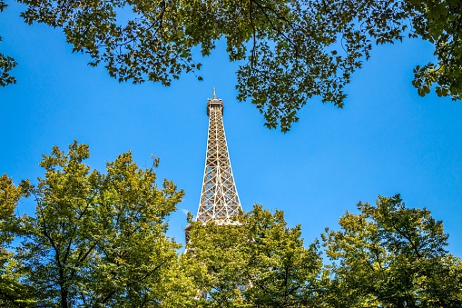 Treetops and low angle view of the Eiffel Tower on a summer day in Paris, France
