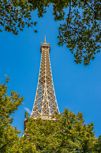 Eiffel Tower and green trees on a summer day in Paris, France