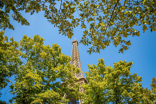 Top of the Eiffel Tower visible between tree branches in Paris on a summer day in France
