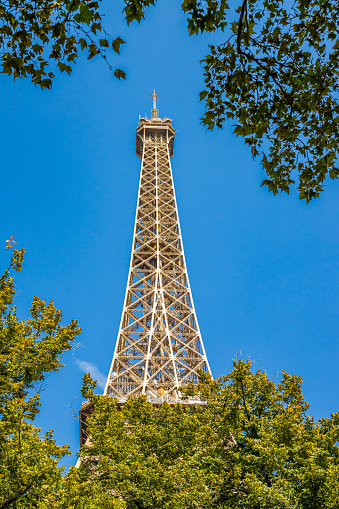 Portrait of little girl with her younger brothers near The Eiffel Tower. The tower is visible in the background. The kids aged 9 and 6 are hugging and smiling at the camera. Paris, France.